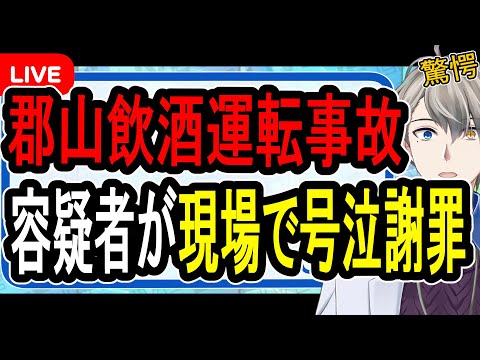 【飲酒運転】受験生死亡の真相が発覚…6時間飲酒して信号無視して突っ込んだ模様【Vtuber解説】