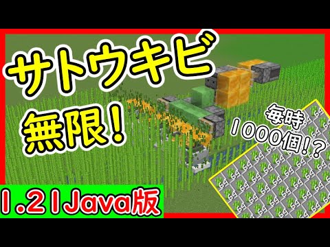 【Java】超効率！全自動サトウキビ回収機の作り方！ 1.21.4　#マイクラ  #マインクラフト #minecraft #Minecraft