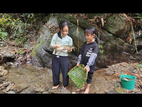 two sisters, weaving baskets, looking for fish, in a stream, deep in the forest