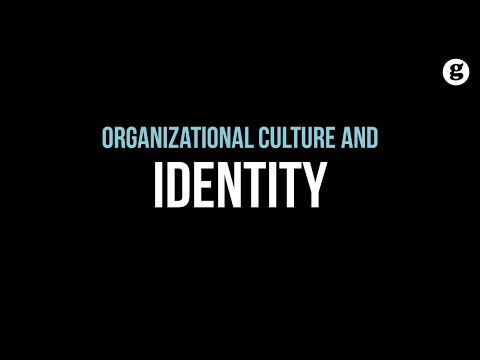 Organizational Culture and Identity