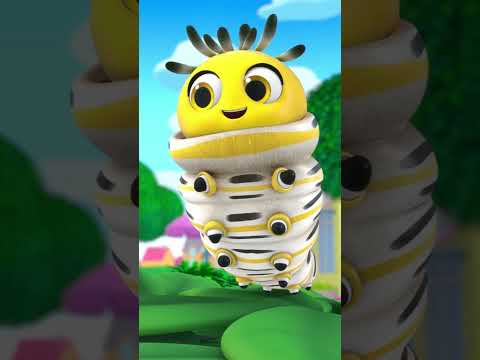 Say Good Morning to our Caterpillar Friend!🐛☀️ #bugs #butterfly #littlebabybum #shorts