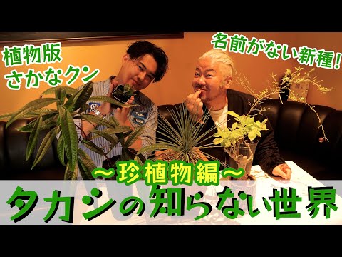 育てた植物3000種⁉️珍しい植物を愛する20歳とトークしたら凄すぎてついて行けないわwww