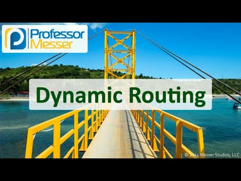 Dynamic Routing - CompTIA Network+ N10-009 - 2.1