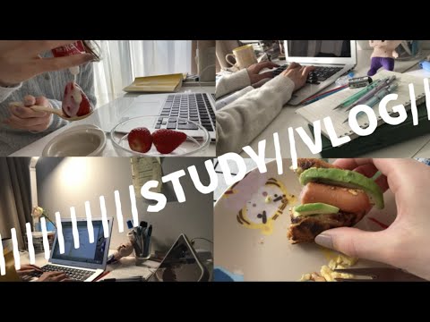 3連休有効に使いたい【社会人STUDY VLOG】