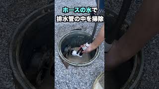 さよなら、1年間の汚水マス汚れ #diy #汚水枡 #大掃除 #shorts