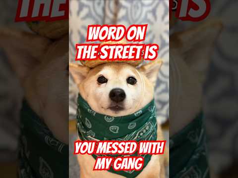 YOU MESSED WITH MY GANG ￼#memes