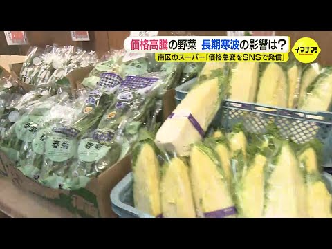 「価格急変をSNSで発信」価格高騰の野菜　長引く寒波の影響は