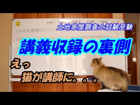 国家試験編【土地家屋調査士試験基礎講座】収録の裏側　猫先生cat teacher