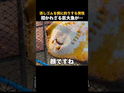 消しゴムで釣りをすると#shorts