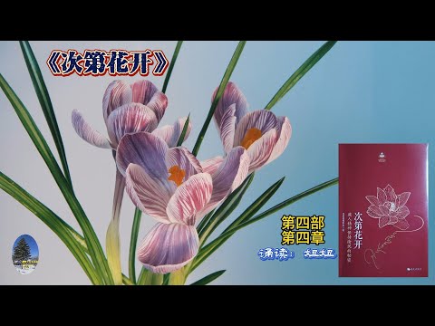 妞妞诵读《次第花开》第四部第四章。心爱女儿留给母亲的第二本书，满怀深深思念，母亲一如既往深情诵读。坦然面对无常，止息烦恼，重塑心灵，解脱人生。接纳逆境，放下执着，迈向新生。（20240805）