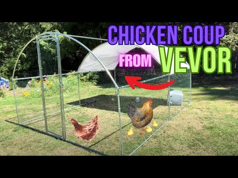 VEVOR Brand Chicken Coup | Unboxing and Full Assembly Review Tutorial Demonstration | Baby Chicks