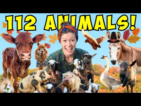 Morning Chores FARM TOUR! | It's Feeding Time! (Fall 2023)