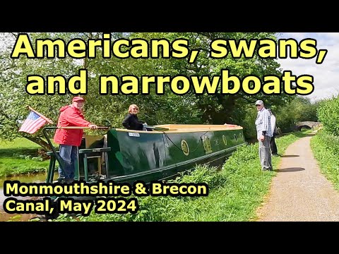 Narrowboats, Americans, and swans, on Monmouthshire & Brecon Canal May 2024