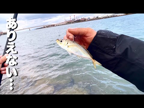 冬の河川に生きたアジを泳がせると…衝撃の怪物釣れた