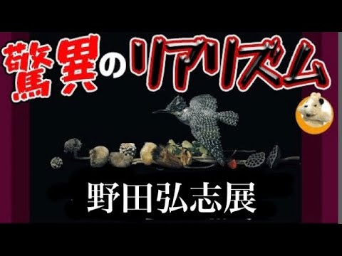 【写真みたい!!は禁句？】野田先生の描き出す「存在」を求めて…！またとない大回顧展です!!