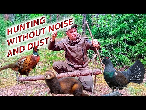 HUNTING WITHOUT NOISE AND DUST