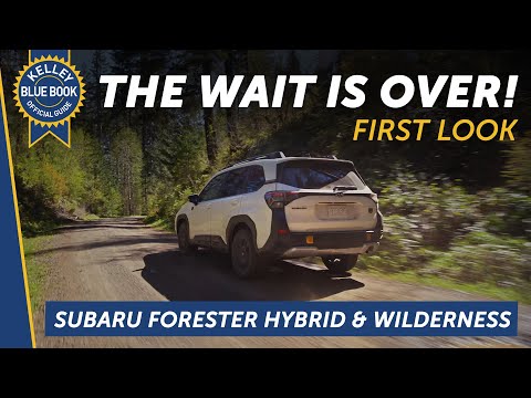 2025 Subaru Forester Wilderness | First Look