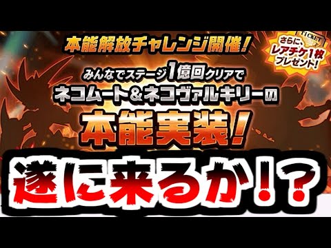 【にゃんこ大戦争】明けましておめでとう！ネコムートとヴァルキリーに本能が来るかもしれない件について！【本垢実況Re#2054】