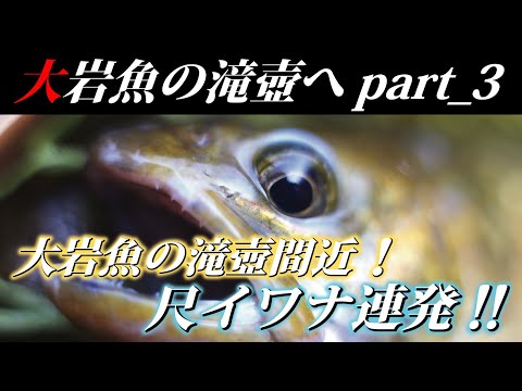 【大岩魚の滝壺へpart_3】源流の奥深くまで来ると尺岩魚が連発！！