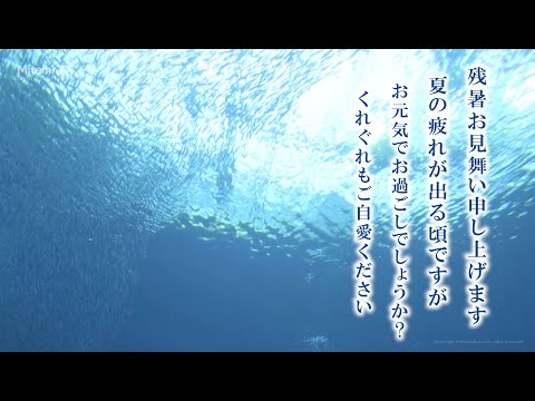 動く！残暑お見舞いカード（海中）