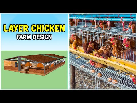 Layer Chicken Farm Design | Poultry Farm Design 3D