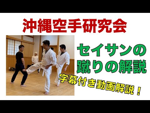 セイサンの蹴りの解説【沖縄空手研究会】