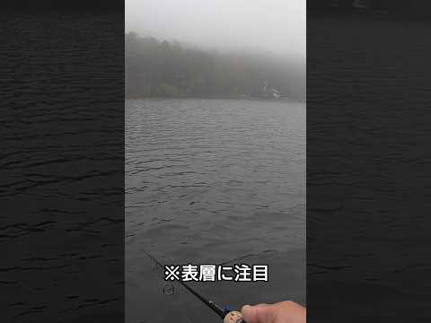 榛名湖ワカサギパターンが面白い