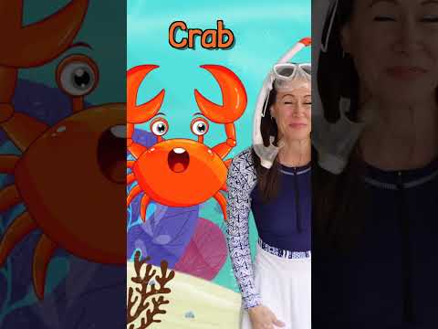 #Shorts Animals Children's song by Patty Shukla Learn Ocean Animals English Guessing Game for Kids