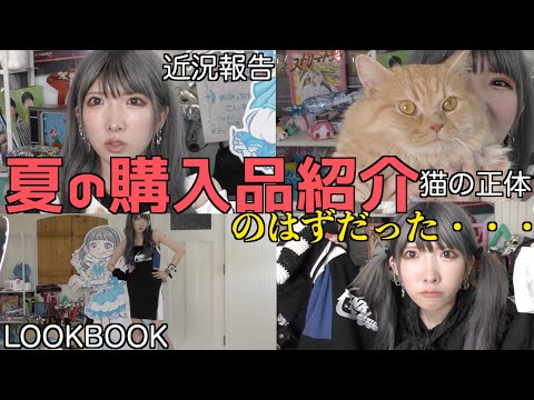 【報告】最近ガチで買った可愛すぎる服を紹介したかっただけなのに、気付いたら猫の紹介してたしインフルエンザになった動画【人生いろいろ】