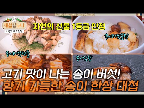 [제철 요리 모음집_시즌1]  고기 맛이 나는 송이 버섯! 향기 가득한 송이 한상 대첩 | 제철누나