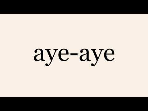 aye aye