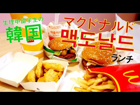 留学生 韓国マックランチ