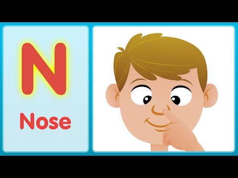 The N Song (Uppercase) | Super Simple ABCs