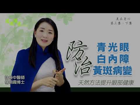 美在身心 第3集 (下集) 防治青光眼、白內障及黃斑病變