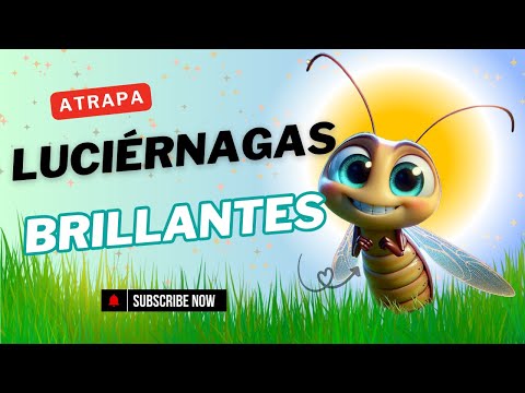 ✨ "Brilla, Brilla, Luciérnaga" | Rima Mágica para Niños y Familias 🎶🐝