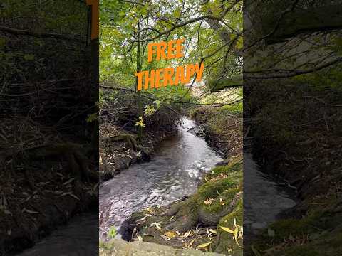 Better than most music? Therapeutic sound in nature. #watersounds #naturewalk #creek