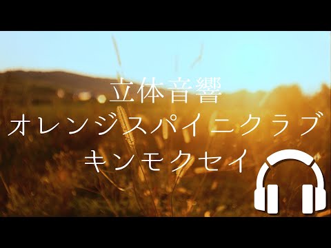 【立体音響】キンモクセイ - オレンジスパイニクラブ