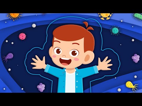 Discover The COOLEST Facts About YOUR Body! | Human Body Songs For Kids | KLT Anatomy