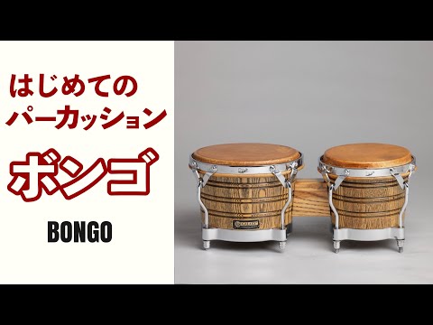 Bongo For All Beginners | Basic | Practice | Phrases | Lesson