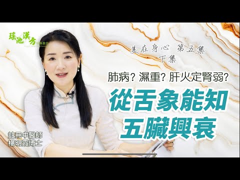 美在身心 第5集 (下集) 肺病、濕重、肝火還是腎弱？看舌象能知五臟盛衰