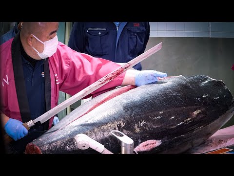 364 pounds Giant bluefin tuna cutting show in Japan & First auction this year in Toyosu Fish Market.