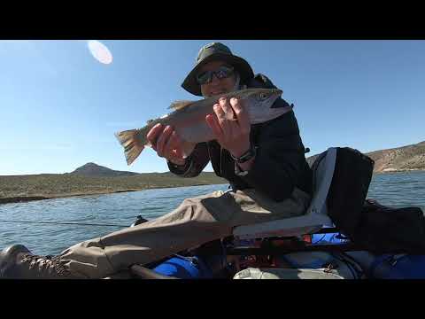 Fly Fishing Nevada Spring 2019- Dangle Technique-Brian Kretschmar-Stillwater Fly Fishing