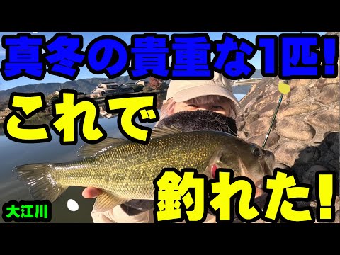 極寒真冬に貴重な1匹！この釣り方は真冬でも超良かった！！【大江川】【バス釣り】【シャーベットヘアーチャンネル】