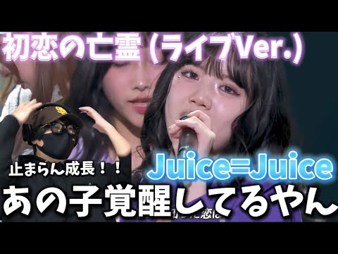 【Juice=Juice】もう出だしから最高なんよ‼️全員成長が著しい！！Juice=Juice「初恋の亡霊」（1.18 仙台サンプラザホール（宮城））リアクション