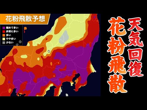 【花粉】明日は関東天気回復　花粉飛散に注意