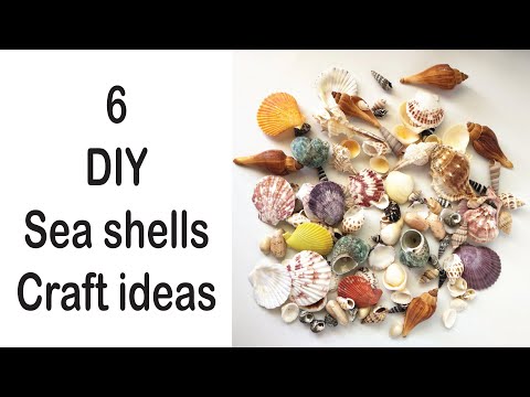 6 DIY SEA SHELL Craft Ideas | Sea shell Crafts | @CraftStack