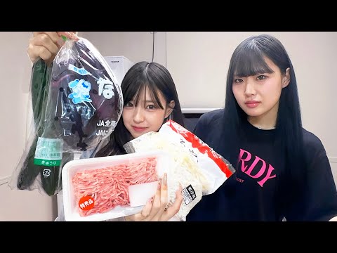 ねぇねの家に食材持ってお泊まりVlog！