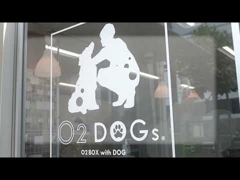 Yayuyoのポートフォリオ「O2dogs」