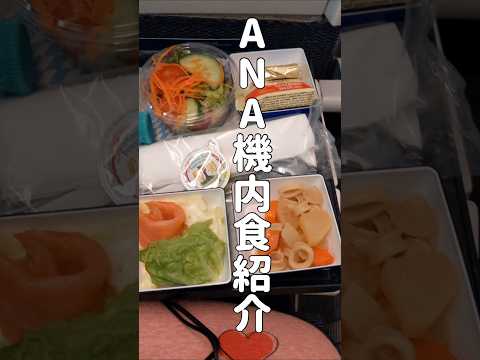 【2025年】ANAの機内食を紹介します！