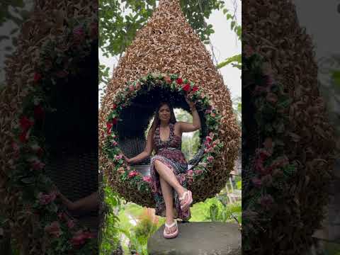 Swing in Bali #shorts #shortvideo #bali #indonesia #AlasHarum